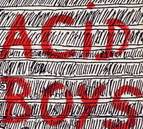 logo Acid Boys